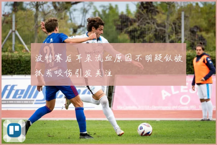 波特赛后耳朵流血原因不明疑似被抓或咬伤引发关注